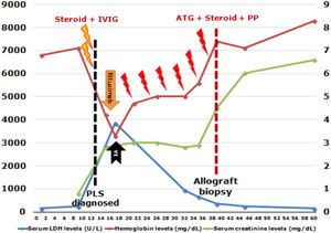 LDH, serum creatinine, and hemoglobin levels during follow-up. The yellow lightning icons indicate A Rh-positive transfusion. The red lightning icons indicate 0 Rh-positive transfusions. Abbreviations: ATG; anti-thymocyte globulin, IA; immunoadsorption, IVIG; intravenous immunoglobulin, PLS; passenger lymphocyte syndrome, PP; plasmapheresis.