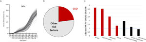 Global prevalence of CKD and impact of CKD on COVID-19 mortality. (A) Global prevalence of CKD by age according to Global Burden of Disease (GBD) data. Gray lines represent individual countries. (B) According to these data, CKD accounts for the increased risk of severe COVID-19 in 5.1% of the global population, or 23% of the global population at increased risk of severe COVID-19, as represented in panel B, being the highest contributor to global risk. Data for (A) and (B) from Ref. 7. (C) Risk of COVID-19 death for selected preexistent conditions from Ref 8. Dialysis and transplantation were the conditions that most increased the risk of death from COVID-19 in the OpenSAFELY study. Additionally, the increased risk conveyed by CKD G4/G5 was still higher than that conveyed by several of the often-cited risk factors for severe CVOD-19, including diabetes, chronic heart disease and hypertension. Even CKD G3 conveyed a higher risk of COVID-19 death than heart disease or hypertension. The discontinuous horizontal blue line indicates neutral risk (Adj HR=1.0).