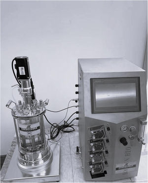 Experimental equipment for struvite crystallization.