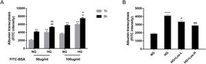 High glucose increased albumin transcytosis across hrGECs and losartan inhibited this process. (A) Concentration-dependent transcytosis of FITC-albumin at 1 and 3h in NG (5.5mmol/L d-glucose) condition and HG (40mmol/L d-glucose) condition. **P<0.01 vs. 1h NG 50μg/ml group, #P<0.05 vs. 3h NG 50μg/ml or NG 100μg/ml, &P<0.05 vs. 1h HG 50μg/ml or HG 100μg/ml group. (B) Transcytosis of FITC-albumin in hrGECs incubated with NG, HG, HG+Los-L(1μmol/L), and HG+Los-H(10μmol/L). ****P<0.0001 vs. NG group, #P<0.05 or ###P<0.001 vs. HG group. Data are presented as means±SEM.