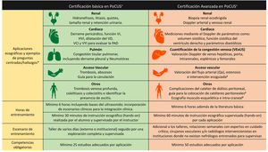 Marco propuesto para la certificación estandarizada de la ecografía a pie de cama (PoCUS) en nefrología. Las aplicaciones ecográficas se dividen en básicas y avanzadas en función de la complejidad de la adquisición e interpretación de imágenes. VI: ventrículo izquierdo; VCI: vena cava inferior; VYI: vena yugular interna; PAD: presión auricular derecha. * Los ejemplos no son exclusivos. # Aplicaciones opcionales en función de las pautas de la práctica local. + Tanto la formación básica como avanzada requieren de una evaluación de conocimientos teóricos y prácticos.