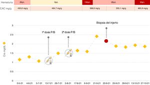 Creatinina sérica, proteinuria y hematuria en nuestro paciente antes y después de la vacunación frente al SARS-CoV-2. CAC: cociente albúmina/creatinina; Crs: creatinina sérica; P/B: vacuna Pfizer-BioNTech.