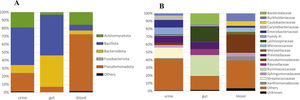 The taxonomic profiles of urine, gut and blood samples obtained from patients on peritoneal dialysis: (A) phylum and (B) family levels.