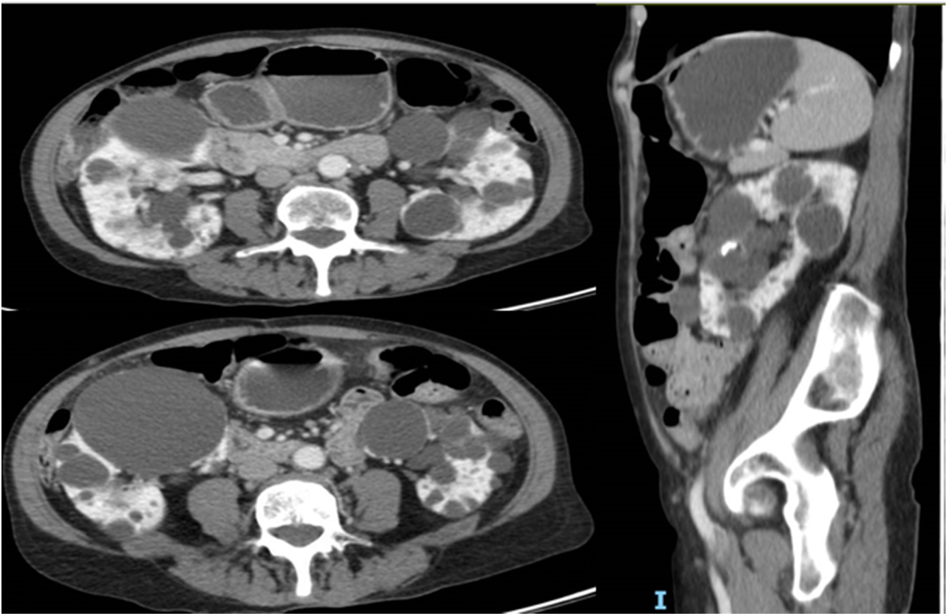 fig0005
