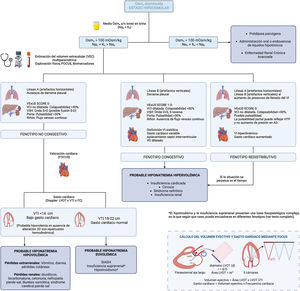 Nuevo algoritmo para el diagnóstico de hiponatremia.