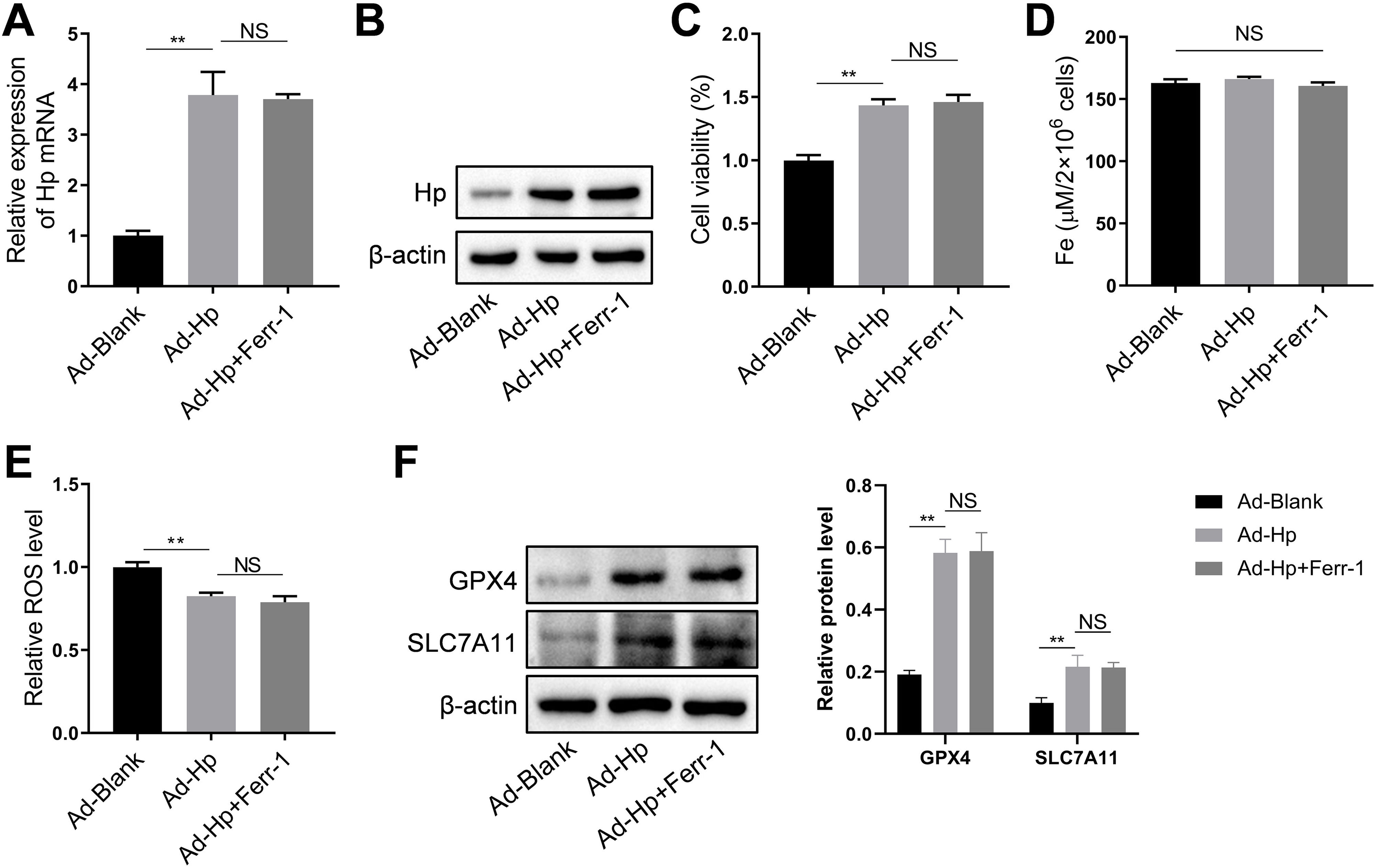 fig0010