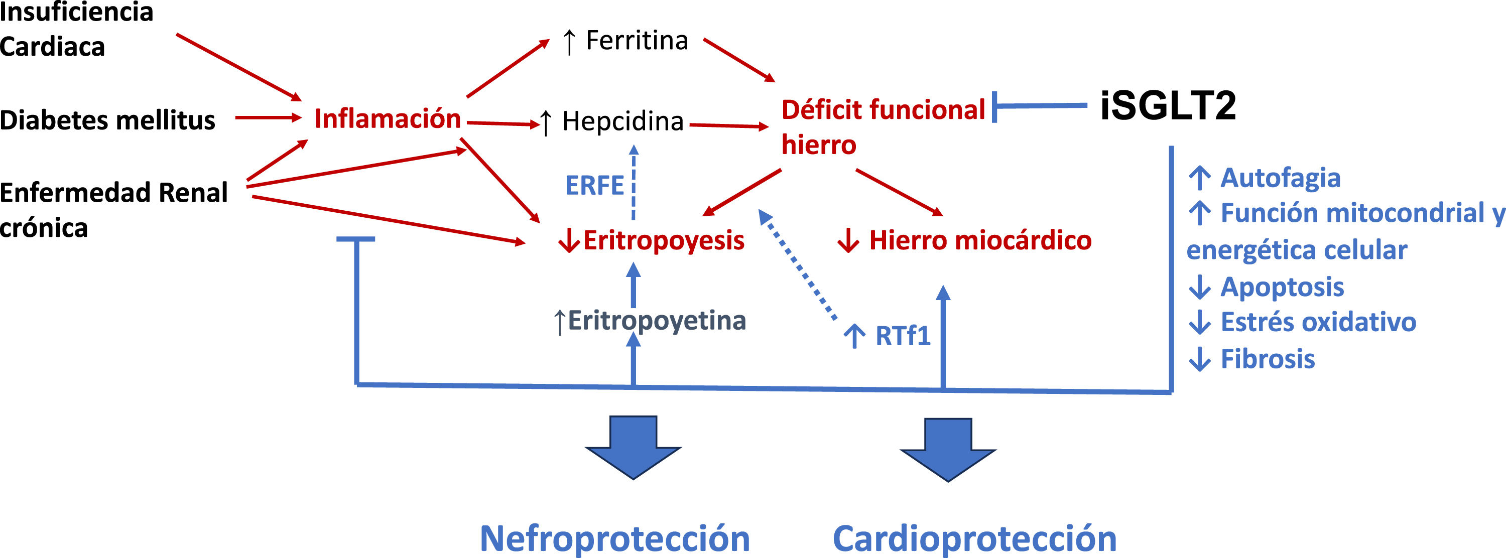 fig0005
