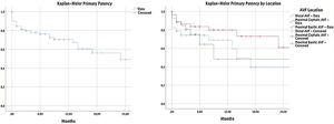 Kaplan–Meier curves of primary patency and primary patency by location.