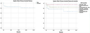 Kaplan–Meier curves of primary assisted patency and primary assisted patency by location.