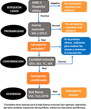 Modificada de Cruz-Jentoft et al.15 AMS: masa muscular apendicular; HG: fuerza de agarre con dinamometría; SARC-F: Encuesta de despistaje de sarcopenia; SPPB: Short Physical Performance Battery; STS-5: test sit to stand to sit 5; TUG: The Timed-Up and Go test; VM: velocidad de marcha.