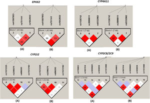 Linkage disequilibrium plot of CYPs and EPHX2 variants alleles in normotensive subjects (n=87) and hypertensive patients (n=151). Linkage disequilibrium (LD) is displayed as pairwise D′ values. Shading represents the magnitude and significance of pairwise LD, with a red-to-white gradient reflecting higher-to-lower LD values. Dark red diamond without a number corresponds to D′ values of 1.0. (A) and (B) indicate the LD analysis of normotensive subjects (n=87) and hypertensive patients (n=151), respectively.