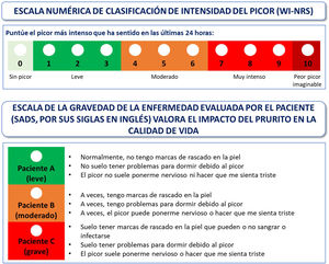 Escalas de evaluación sugeridas para medir la gravedad del picor14,15.