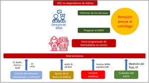 Representación esquemática de los principales cuidados del paciente en hemodiálisis. AAVV: acceso vascular; A/B: ácido base; BioIM: bioimpedancia; BioM: biomarcadores de congestión; EF: examen físico; eKt/V: Kt/V urea equilibrado; ERC: enfermedad renal crónica; ERCA: enfermedad renal crónica avanzada; Kt: aclaramiento en la sesión; MOM: metabolismo óseo-mineral; nPCR: tasa de catabolismo protéico normalizada; PoCUS: Point-of-care ultrasonography; std Kt/V: Kt/V estándar semanal.