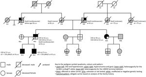 Family pedigree. sCr: serum creatinine; y.o.: years old; CKD defined as eGFR <60ml/min/1.73m2 (using the CKD-Epidemiology collaboration equation, version 2009). Deceased subject III:2 was an obliate carrier of both the UMOD exon 11 deletion and the SLC8A1 c.16C>T p.(Arg6*) allele.