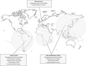 Propuesta de protocolo de cribado de enfermedades importadas en candidatos migrantes a trasplante renal según procedencia. *Tras el protocolo inicial, se ha sustituido el cribado de Plasmodium sp. mediante serología y frotis de sangre periférica por test de PCR, con mejor sensibilidad para su detección. **Además, tras el estudio inicial, se han eliminado del cribado las pruebas para HTLV I-II, Histoplasma capsulatum y Entamoeba histolytica. **Para la detección de parásitos en heces, se recomienda el análisis de la muestra en fresco. Abreviaciones: HTLV I-II, virus linfotrópicos de células T humanas tipo I y II.