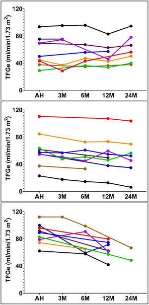 Evolución a la tasa de filtrado glomerular estimada (TFGe) de los sujetos que presentaban medición de creatinina sérica en el momento del alta hospitalaria y al menos un control durante el seguimiento posterior al alta (n=27). AH: alta hospitalaria; M: meses. Se muestran 3 figuras con 9 pacientes en cada una para facilitar la visualización, ordenados según la magnitud del cambio anualizado de la TFGe.