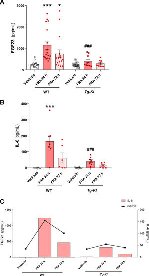 Relación entre los niveles de IL-6 y cFGF23 en ratones con FRA inducido en ratones WT y ratones con sobreexpresión génica de klotho Tg-Kl. Niveles plasmáticos de cFGF23 (A) y de la citoquina IL-6 (B) en ratones WT y ratones que sobreexpresan klotho (Tg-Kl) tras 24 y 72h desde la inducción del FRA. (C) Relación entre la citoquina IL-6 y cFGF23 en los ratones WT y Tg-Kl tras las 24 y 72h desde la inducción del FRA (C). *p<0,05, ***p<0,001 vs. vehículo WT; ###p<0,001 vs. grupo WT con 24h post-FRA.