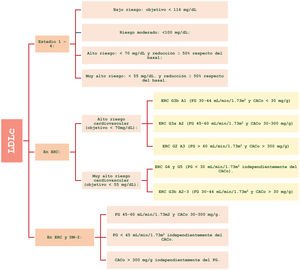 Manejo de los triglicéridos en los diferentes estadios del síndrome CRM. ECV: enfermedad cardiovascular; EPA: icosapento de etilo. Modificada de Ndumele et al.14.