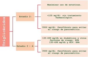 Manejo clínico del resto de comorbilidades en los diferentes estadios del síndrome CRM. ADOS: antidiabéticos orales; ar-GLP-1: agonistas del receptor de GLP-1; ARA2: antagonistas del receptor de angiotensina 2; ARM: antagonistas del receptor mineralocorticoide; ARNI: antagonistas del receptor de la angiotensina-neprilesina; CRM: cardiovascular-reno-metabólico; ERC: enfermedad renal crónica; FGe: filtrado glomerular estimado; HbA1c: hemoglobina glicosilada; HTA: hipertensión arterial; IC: insuficiencia cardíaca; ICFEp: insuficiencia cardíaca con fracción de eyección preservada; ICFEr: insuficiencia cardíaca con fracción de eyección reducida; iDPP4: inhibidores de la dipeptidil peptidasa 4; IECA: inhibidores de la enzima conversora de la angiotensina; IMC: índice de masa corporal; iSGLT-2: inhibidores del cotransportador sodio-glucosa tipo2: PA: presión arterial. Modificada de Ndumele et al.14.