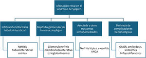 Afectación renal en el síndrome de Sjögren (SS). Clásicamente se distinguen 2 tipos de manifestaciones renales en el SS: la nefritis tubulointersticial y la glomerulopatía por depósito de inmunocomplejos. Sin embargo, la afectación renal del SS también incluye las nefritis secundarias a otras enfermedades inmunomediadas asociadas (como el lupus eritematoso sistémico) o las complicaciones renales derivadas de trastornos linfoproliferativos (como la gammapatía monoclonal de significado renal [GMSR] o el linfoma renal). ANCA: anticuerpos anticitoplasma de neutrófilos.