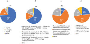 Criterios para la definición de respuesta parcial (RP) al tratamiento de la NL. Pregunta formulada: En su opinión, ¿en función de qué valores determinaría si un paciente suyo ha alcanzado la respuesta parcial (RP)? Piense en un perfil de paciente habitual que visita usted en consulta: a) concentración de albúmina sérica (g/dl); b) niveles de reducción/rangos de valores de proteinuria (g/día; o g/g ratio proteína-creatinina en orina [uPCR]); c) función renal (tasa de filtración glomerular estimada [TFGe]); y d) reducción de hematuria (hematíes/campo). Los resultados se expresan en porcentaje (%).  Adhesión a las recomendaciones proporcionadas en la guía GLOSEN.