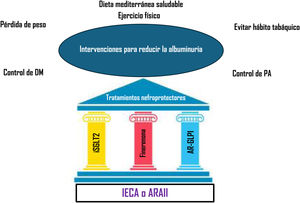 Aproximación global para reducir la albuminuria. ARA II: antagonistas de los receptores de angiotensinaII; AR-GLP1: agonistas del receptor péptido similar al glucagón tipo1; DM: diabetes mellitus; IECA: inhibidores de la enzima convertidora de angiotensina; iSGLT2: inhibidores del cotransportador de sodio-glucosa2; PA: presión arterial. Fuente: figura realizada con datos del American Diabetes Association Professional Practice Committee11 y de Montero et al.12.