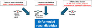 Etiopatogenia de la ERC en la DM2 y aproximación terapéutica. ARA II: antagonistas de los receptores de angiotensinaII; GLP1: péptido similar al glucagón tipo1; IECA: inhibidores de la enzima convertidora de angiotensina; iSGLT2: inhibidores del cotransportador de sodio-glucosa2; PA: presión arterial; RM: receptor mineralocorticoide. Fuente: figura realizada con datos del American Diabetes Association Professional Practice Committee11, de Montero et al.12, Alicic et al.43, Zelniker y Braunwald44 y Heerspink et al.45.