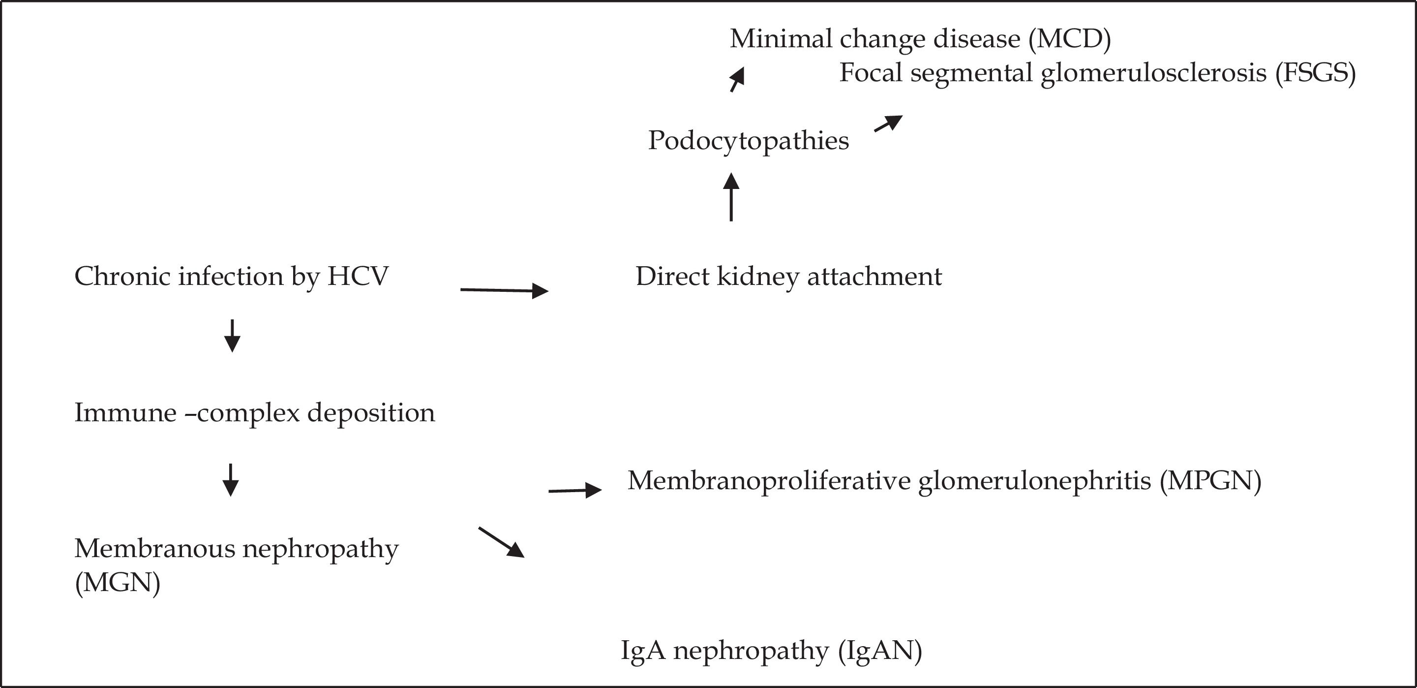fig0005