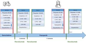 Evolución clínica y analítica. A/C: cociente albúmina/creatinina (mg/g); Hb: hemoblogina, (g/dl); LDH: lactato deshidrogenasa (U/L); P/C: cociente proteína/creatinina (mg/g).