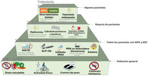Tratamiento general de los pacientes con diabetes tipo 2 y enfermedad renal crónica (ERC). Los pacientes con diabetes y ERC deben recibir un enfoque holístico para evitar complicaciones cardiovasculares. Este abordaje debe contemplar cambios en el estilo de vida centrados en la nutrición, con especial atención al control del peso, la práctica regular de ejercicio físico y el abandono del hábito tabáquico, añadiendo el uso de fármacos de primera línea, según las características clínicas de cada paciente y priorizando aquellos con beneficio demostrado desde el punto de vista cardiorrenal. El control glucémico se basa en el tratamiento con insulina en la diabetes mellitus tipo 1 (DM1), una combinación de inhibidores del cotransportador 2 de sodio-glucosa (SGLT2i) y GLP1 RA, especialmente semaglutida 1mg una vez a la semana, para la diabetes mellitus tipo 2 (DM2). Los iSGLT2 deben iniciarse cuando el filtrado glomerular estimado (eGFR) sea superior a 20ml/min por 1,73m2 y continuarse hasta iniciar el tratamiento con diálisis o trasplante. Como tratamiento de segunda línea se debería añadir metformina si el control glucémico es inadecuado, y cuando el eGFR es superior a 30ml/min por 1,73m2, ajustando las dosis de metformina cuando el FGe estuviera entre 30-45ml/min por 1,73m2. Los inhibidores de la enzima convertidora de la angiotensina (IECA) o los antagonistas de los receptores de la angiotensina II (ARA) deben ser los fármacos de primera línea para la hipertensión cuando hay albuminuria. De lo contrario, también pueden considerarse los antagonistas del calcio dihidropiridínicos (CCB) o un diurético. A menudo son necesarias las 3 clases para alcanzar los objetivos de PA. El control adecuado de los lípidos con diferentes grupos farmacológicos es crucial, y se recomienda el uso de estatinas para la mayoría de los pacientes con DM1 o DM2 y ERC. Un antagonista no esteroideo de los receptores de mineralocorticoides (ns-MRA) como la finerenona puede añadirse al tratamiento de primera línea para los casos con DM2 y alto riesgo de progresión de la ERC y de episodios cardiovasculares, dependiendo de la albuminuria del paciente (>30mg/g). En función de las características del paciente, diferentes grupos farmacológicos aumentan el arsenal terapéutico para mejorar el control metabólico de los pacientes, entre ellos los inhibidores de la dipeptidil peptidasa-4 (DPP4i) o la insulina. También pueden utilizarse otras terapias adicionales, como los antagonistas de los receptores mineralocorticoides esteroideos, para alcanzar los objetivos de PA si los valores de potasio (K) lo permiten. En general, el ácido acetilsalicílico debe utilizarse de por vida para la prevención secundaria en los pacientes con problemas cardiovasculares establecidos, y puede considerarse en prevención primaria en aquellos con alto riesgo de problemas cardiovasculares ateroscleróticos. ARA-II: antagonistas de los receptores de la angiotensina II; CCB: antagonistas del calcio; DPP4i: inhibidores de la dipeptidil peptidasa-4; eGFR: filtrado glomerular estimado; GLP1 AR: agonista del receptor del péptido-1 similar al glucagón; IECA: inhibidores de la enzima convertidora de la angiotensina; MRA: antagonista del receptor de mineralocorticoides; PCSK9i: inhibidor de la proproteína convertasa subtilisina/kexina tipo 9; SGLT2i: inhibidor del cotransportador 2 de sodio-glucosa; SRAA: antagonistas sistema renina-angiotensina.