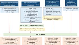 Principales mecanismos de desregulacion del complemento subyacentes en las diferentes formas de daño glomerular. Propuesta de tratamiento. Enfermedad antiMBG: enfermedad de anticuerpos antimembrana basal glomerular; GNMP: glomerulonefritis membranoproliferativa,