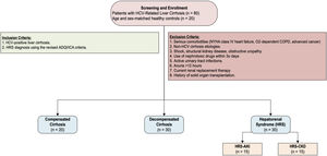 Study enrollment and patient allocation. A total of 80 patients with HCV-related liver cirrhosis were enrolled and stratified into three groups: compensated cirrhosis (n=20), decompensated cirrhosis (n=30), and hepatorenal syndrome (n=30). The flow diagram outlines patient eligibility, exclusions, and final group assignment.