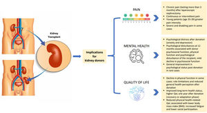 Synthesis of outcomes in living kidney donors: pain, quality of life, mental health, and gaps in work ability evidence. Summary of the results of the scoping review.