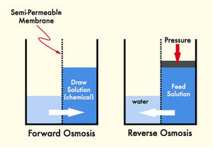 Comparative schematic of forward osmosis and reverse osmosis processes.