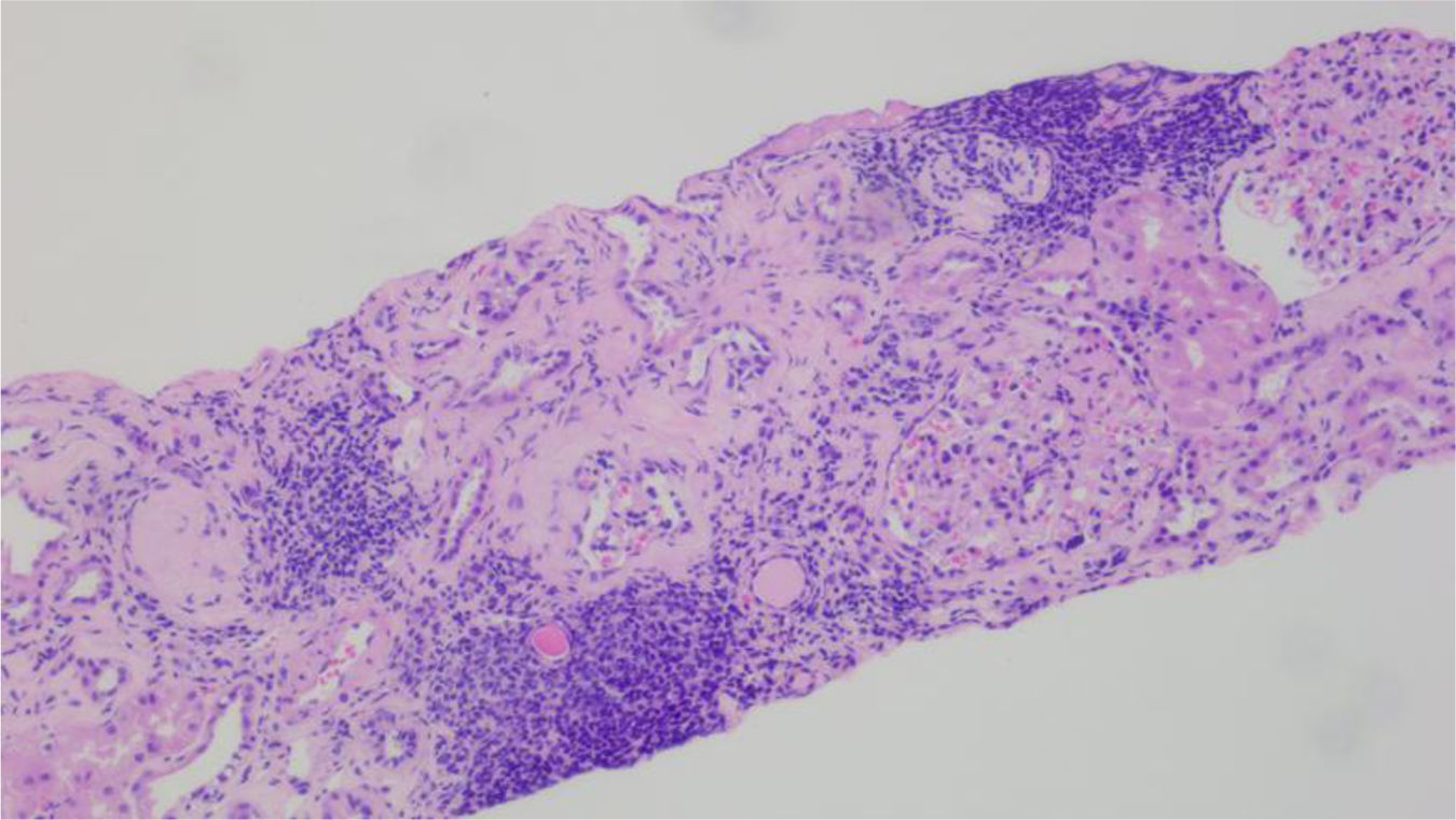 fig0015