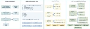 ANCA-associated vasculitis kidney histological scores.