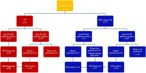 Characteristics of the cohort. MN: membranous nephropathy, NS: nephrotic syndrome, NRP without NS: nephrotic range proteinuria without nephrotic syndrome, PLA2R: phospholipase A2 receptor.