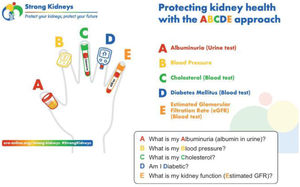 The European Renal Association (ERA) holistic approach to cardiovascular-kidney-metabolic health: as easy as ABCDE.