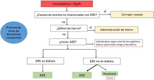 Algoritmo de inicio de tratamiento con agentes estimuladores de la eritropoyesis (AEE)/inhibidores de la prolil-hidroxilasa del factor inducible por hipoxia (HIF-PHI) en España. ERC: enfermedad renal crónica.