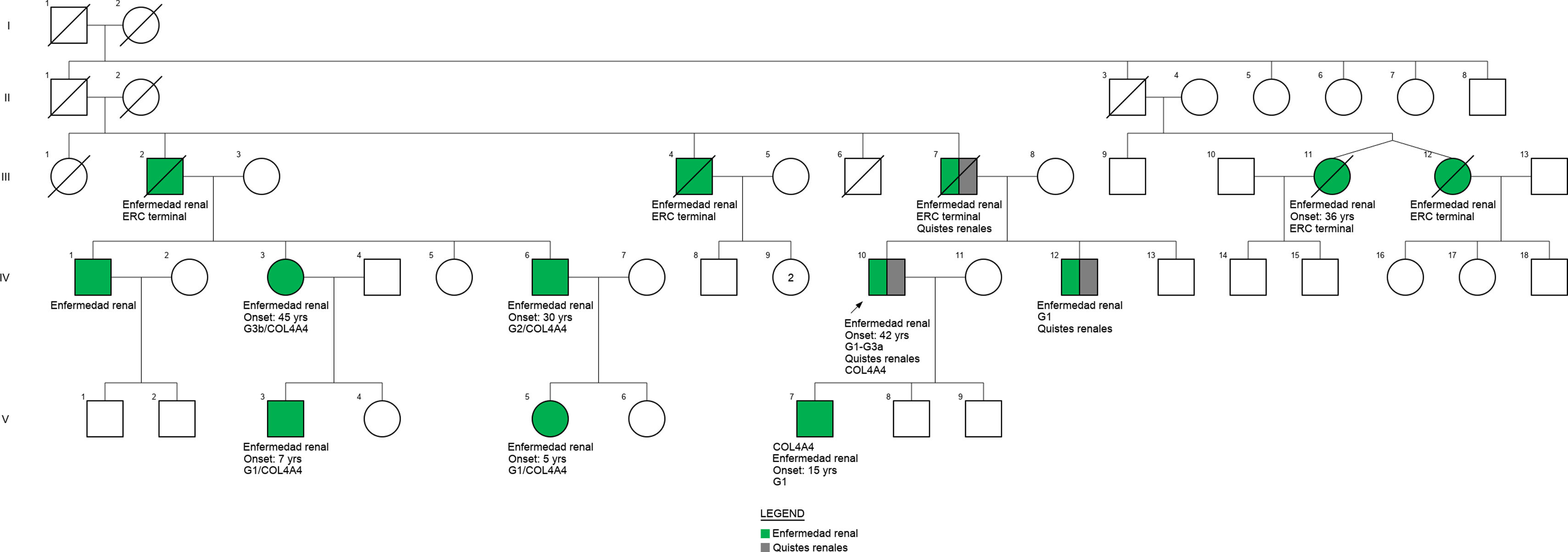fig0005