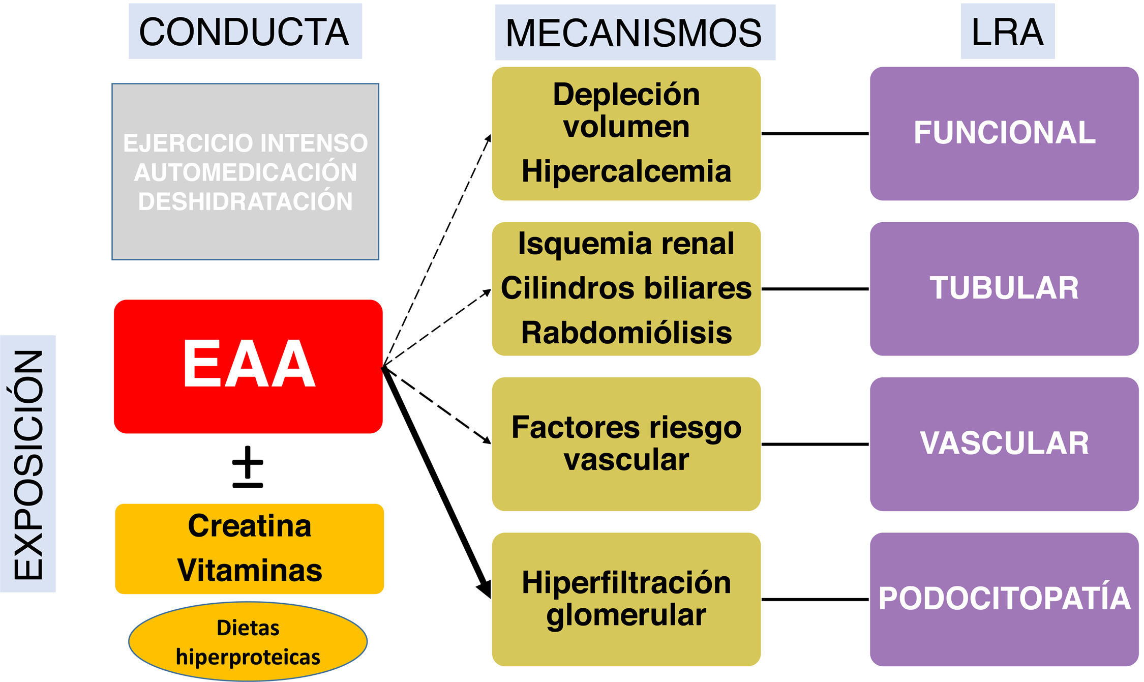 fig0005