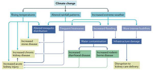 La relación entre el cambio climático y las enfermedades renales22.