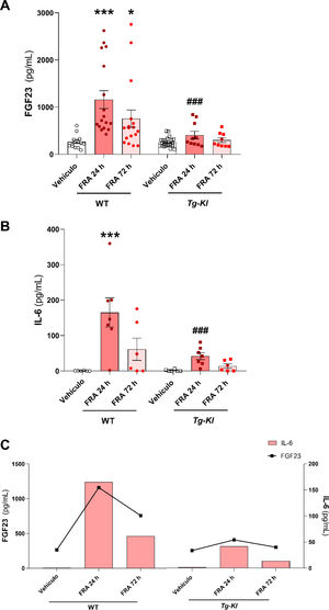 Relación entre los niveles de IL-6 y cFGF23 en ratones con FRA inducido en ratones WT y ratones con sobreexpresión génica de klotho Tg-Kl. Niveles plasmáticos de cFGF23 (A) y de la citoquina IL-6 (B) en ratones WT y ratones que sobreexpresan klotho (Tg-Kl) tras 24 y 72h desde la inducción del FRA. (C) Relación entre la citoquina IL-6 y cFGF23 en los ratones WT y Tg-Kl tras las 24 y 72h desde la inducción del FRA (C). *p<0,05, ***p<0,001 vs. vehículo WT; ###p<0,001 vs. grupo WT con 24h post-FRA.