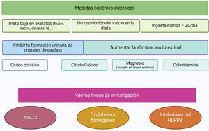 Resumen del tratamiento de la hiperoxaluria secundaria. iSGLT2: inhibidores del cotransportador sodio-glucosa-2; NLRP3: nucleotide-binding, leucin-rich-repeat, pyrin domain containing 3. Creado por Biorender.com.