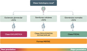 Clasificación histopatológica renal pronóstica de las vasculitis asociadas a anticuerpos anticitoplasma de neutrófilo (ANCA) *Al tratarse de una enfermedad sistémica, a pesar del diferente pronóstico es imprescindible tratar al paciente: la histología no debe modificar la intensidad del tratamiento. ANCA: anticuerpos anticitoplasma de neutrófilo, MPO: mieloperoxidasa, PR3: proteinasa 3.