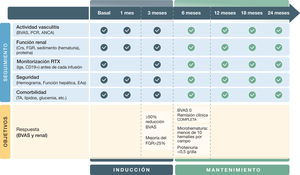 Objetivos y seguimiento de las vasculitis asociadas a anticuerpos anticitoplasma de neutrófilo (ANCA) con predominio de afectación renal PCR: proteína C reactiva; ANCA: anticuerpos anticitoplasma de neutrófilo; BVAS: Birmingham Vasculitis Activity Score; Crs: creatinina sérica; FGR: filtrado glomerular renal; Igs: inmunoglobulinas; RTX: rituximab; EA: efecto adverso; TA: tensión arterial.