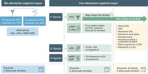 Tratamiento inmunosupresor de mantenimiento de las vasculitis asociadas a anticuerpos anticitoplasma de neutrófilo (ANCA) GC: glucocorticoides; MTX: metotrexato; RTX: rituximab; CFM: ciclofosfamida; AZA: azatioprina; LFN: leflunomida; MMF: micofenolato mofetil; AMF: ácido micofenólico; AVA: avacopan; IgG: inmunoglobulina G; GPA: granulomatosis con poliangeítis; IS: inmunosupresores; ANCA: anticuerpos anticitoplasma de neutrófilo; PR3: proteinasa 3; ORL: otorrinolaringológico.