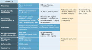 Dosis del tratamiento de inducción en las vasculitis asociadas a anticuerpos anticitoplasma de neutrófilo (ANCA) iv: intravenoso; SC: subcutáneo; MMF: micofenolato de mofetilo; AMF: ácido micofenólico; Cr: creatinina; FGR: filtrado glomerular renal.