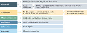 Dosis del tratamiento de mantenimiento de las vasculitis asociadas a anticuerpos anticitoplasma de neutrófilo (ANCA) ANCA: anticuerpos anticitoplasma de neutrófilo.