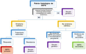 Algoritmo propuesto para estudio genético en adultos con glomeruloesclerosis segmentaria y focal (GEFS).